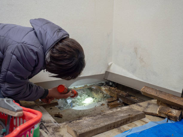 Best Forensic Mold Investigation  in Kentfield, CA