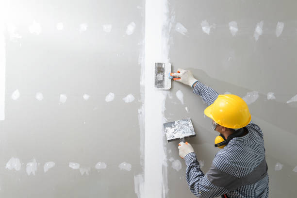 Mold Remediation for Rental Properties in Kentfield, CA