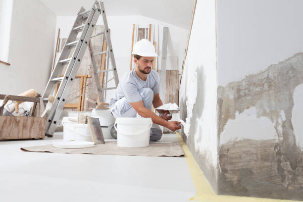 Best Basement Mold Removal  in Kentfield, CA